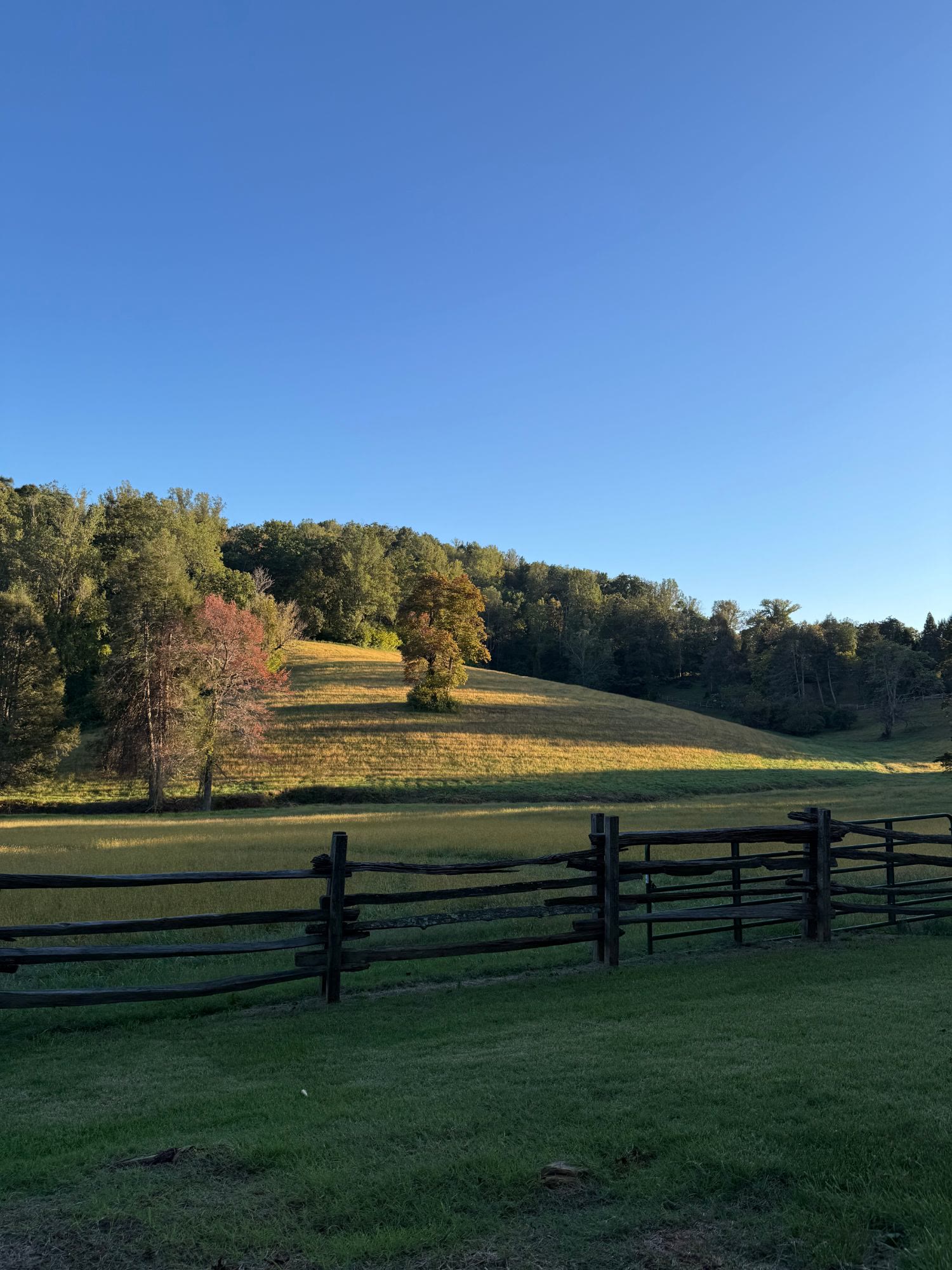 hillside and split-rail fence under a blue sky